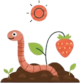 Lombriz y frutos en suelo fértil: humus de lombriz ecológico para cultivos de alto valor